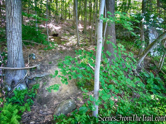 unmarked trail alongside ruin 