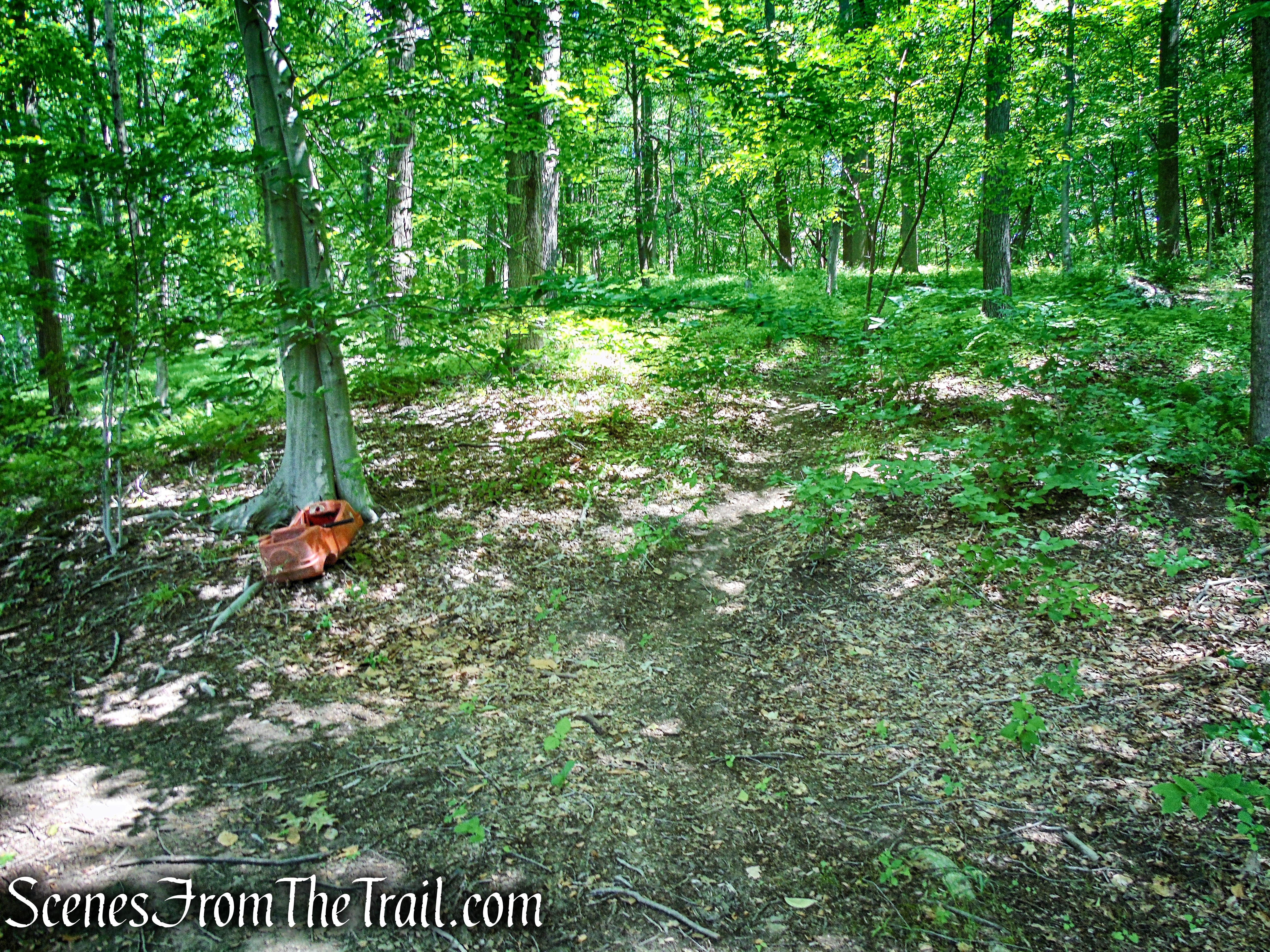 unmarked trail at east end of Blue Lake