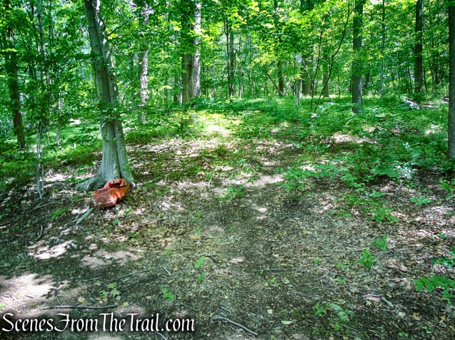 unmarked trail at east end of Blue Lake