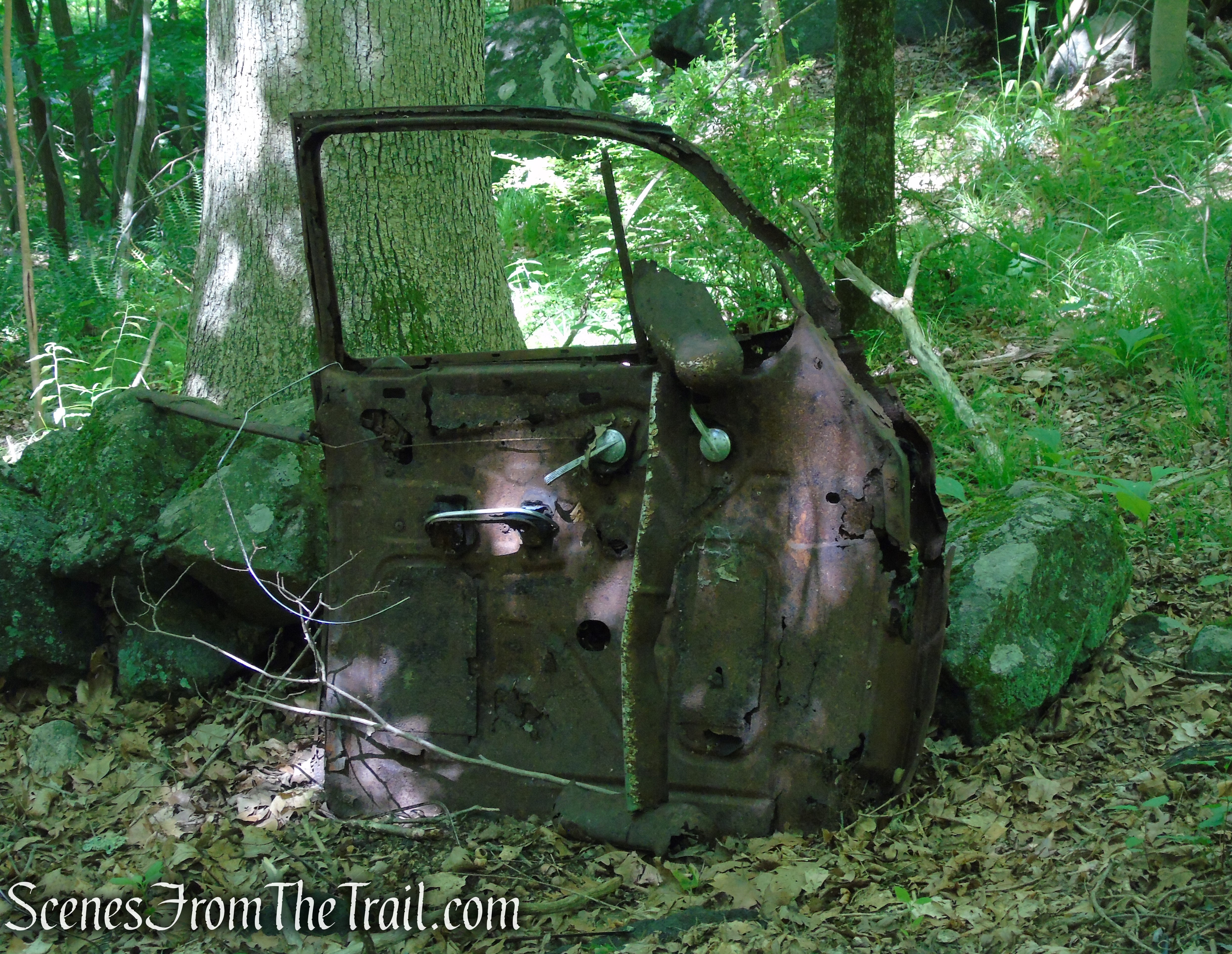 Blue Lake Trail - Salt Hill State Forest