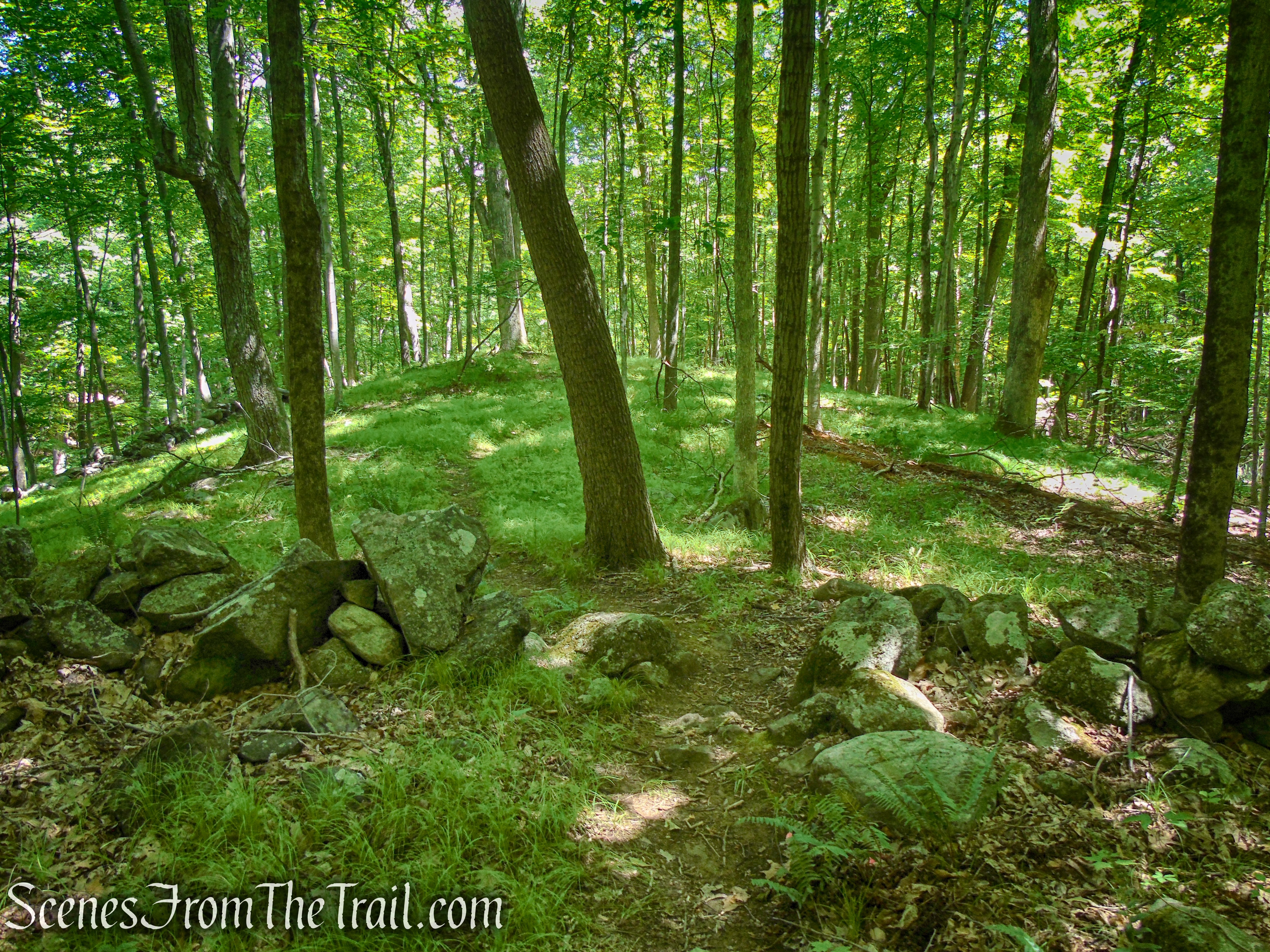 Blue Lake Trail - Salt Hill State Forest