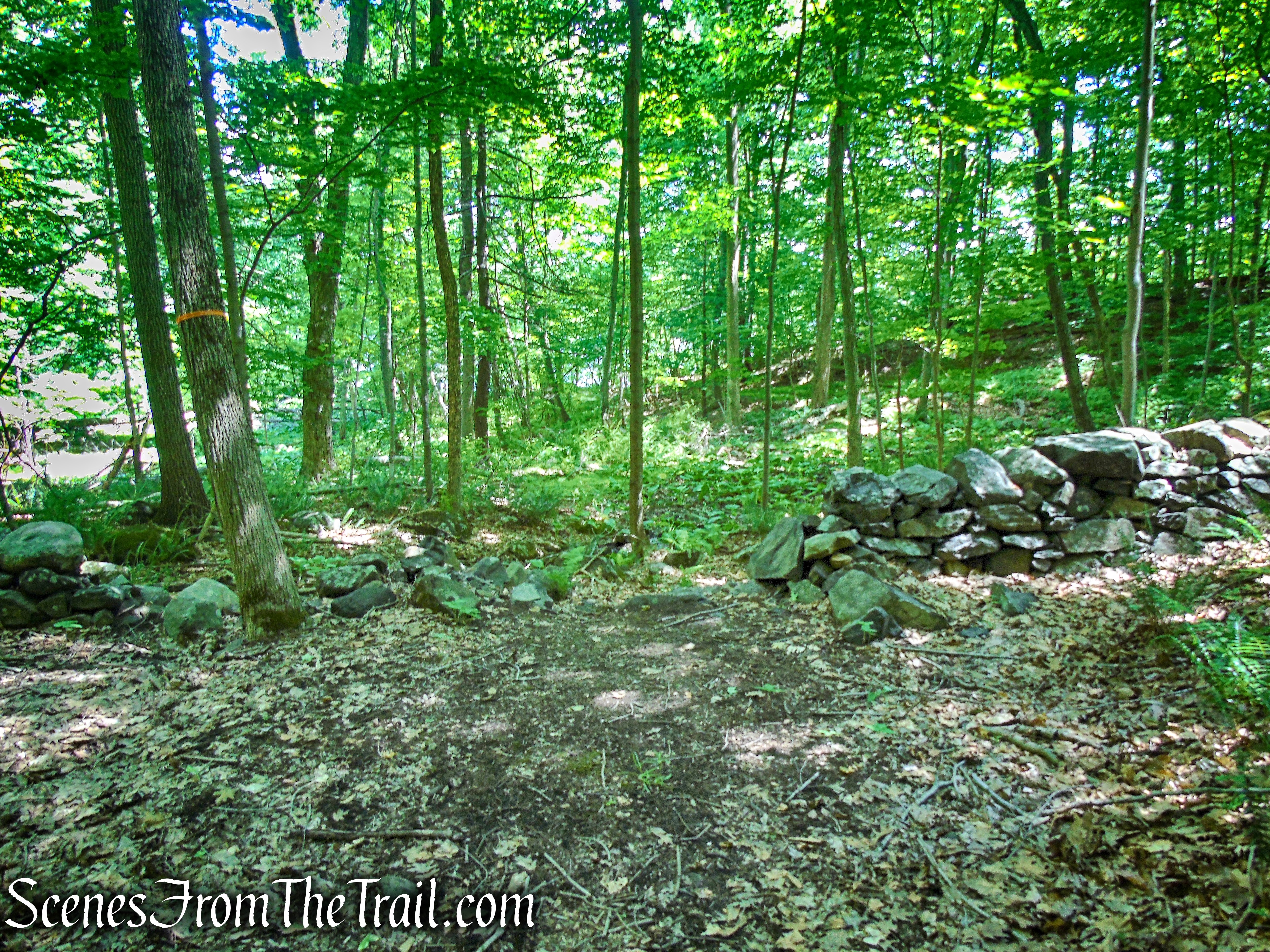 Blue Lake Trail - Salt Hill State Forest