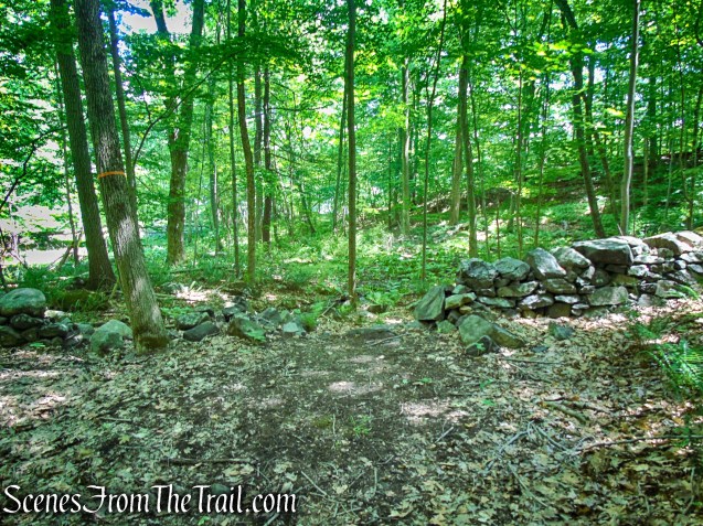 Blue Lake Trail - Salt Hill State Forest