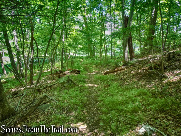 Blue Lake Trail - Salt Hill State Forest