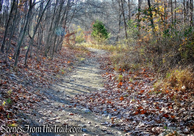 Blue Trail - Cascade Lake Park