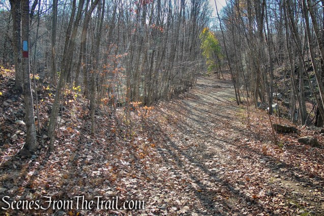 Blue Trail - Cascade Lake Park