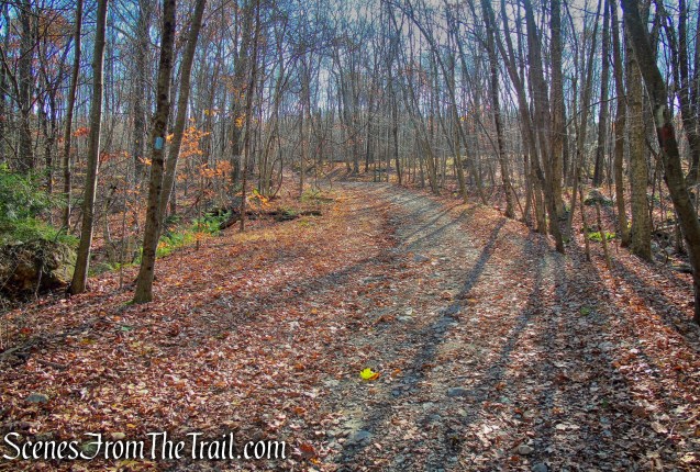 Blue Trail - Cascade Lake Park