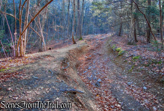 Blue Trail - Cascade Lake Park