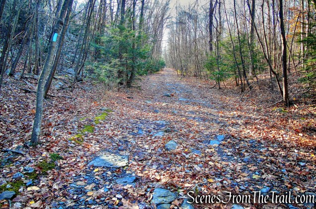 Blue Trail - Cascade Lake Park
