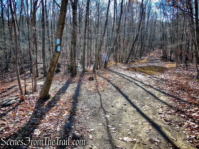 Blue Trail - Cascade Lake Park