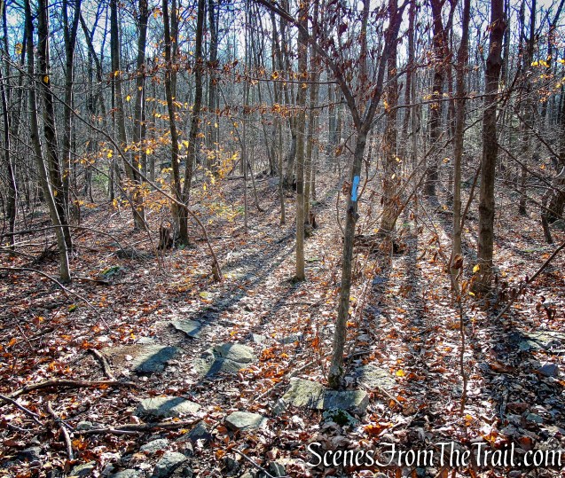 Blue Trail - Cascade Lake Park
