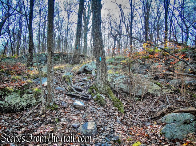 Blue Trail - Cascade Lake Park
