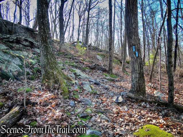 Blue Trail - Cascade Lake Park