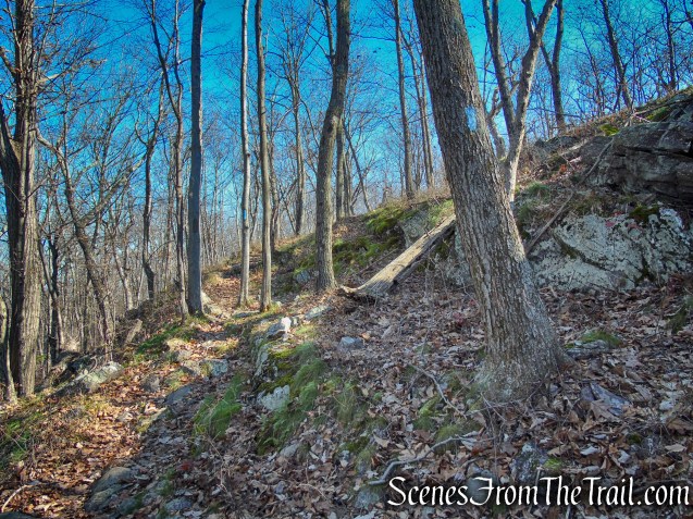 Blue Trail - Cascade Lake Park