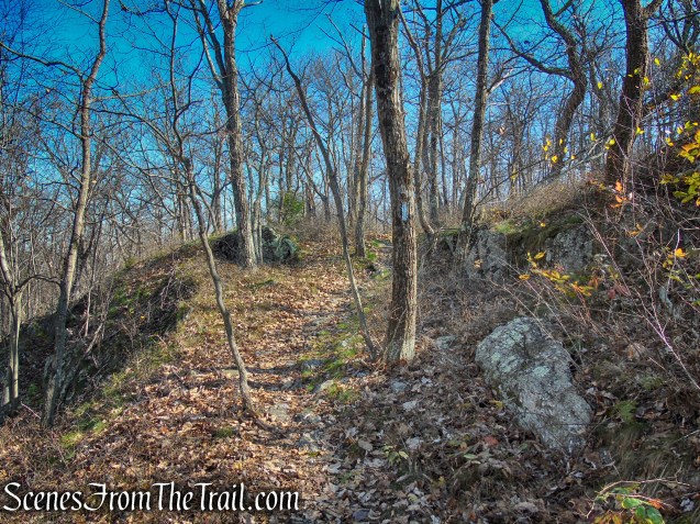 Blue Trail - Cascade Lake Park