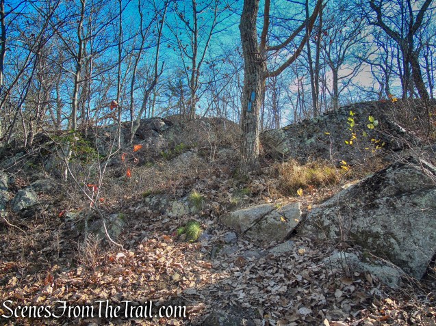 Blue Trail - Cascade Lake Park