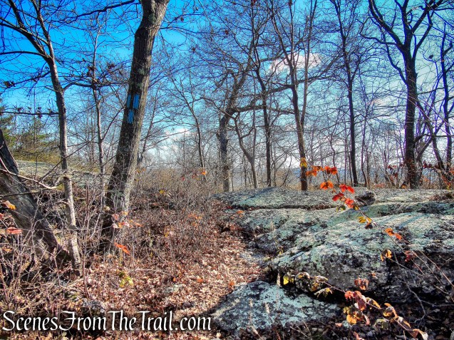 Blue Trail - Cascade Lake Park