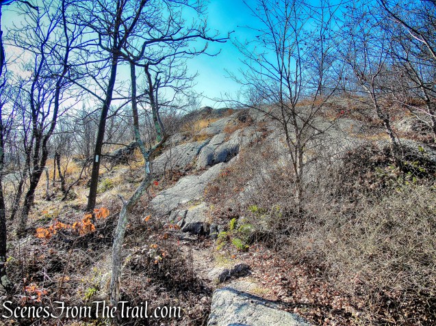 Appalachian Trail - Bellvale Mountain