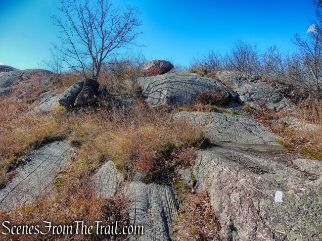 Appalachian Trail - Bellvale Mountain