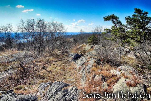 Appalachian Trail - Bellvale Mountain