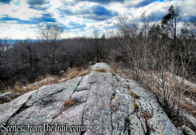 Appalachian Trail - Bellvale Mountain