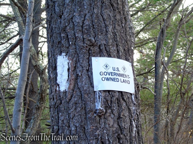 Appalachian Trail - Bellvale Mountain