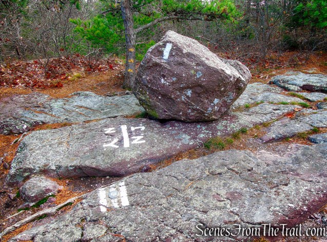 Appalachian Trail - Bellvale Mountain