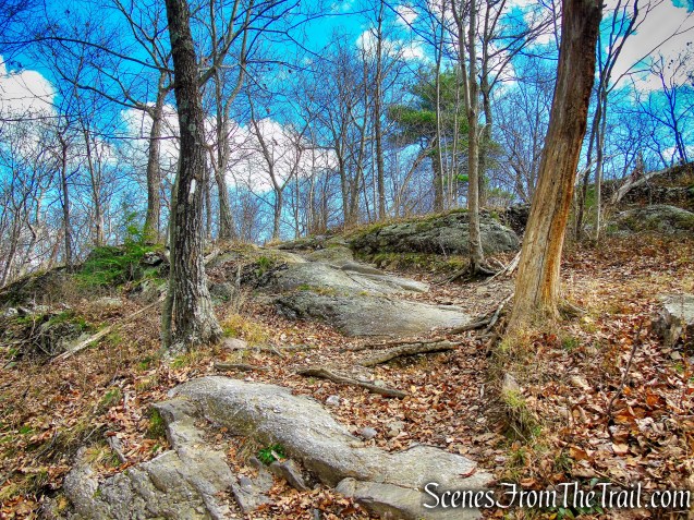Appalachian Trail - Bellvale Mountain