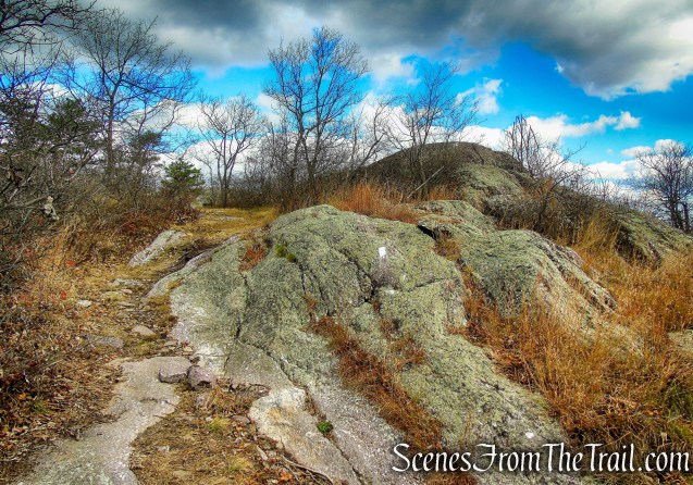 Appalachian Trail - Bellvale Mountain