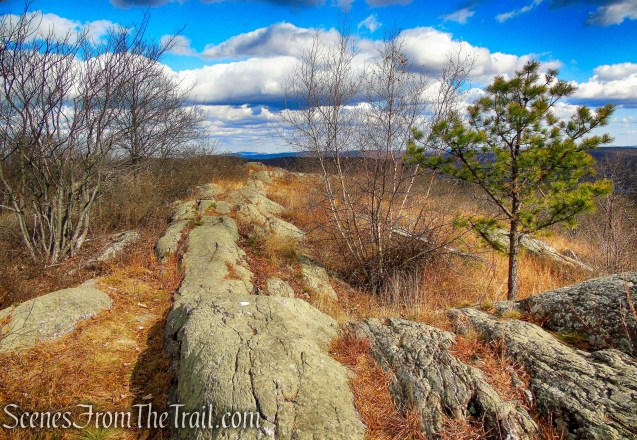 Appalachian Trail - Bellvale Mountain