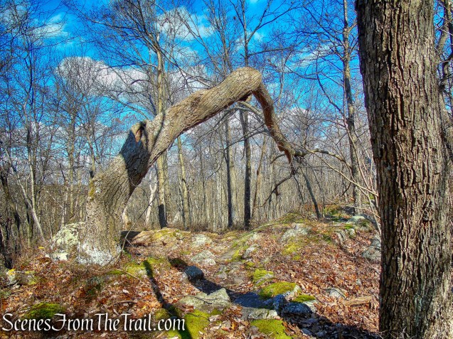 Blue Trail – Cascade Lake Park