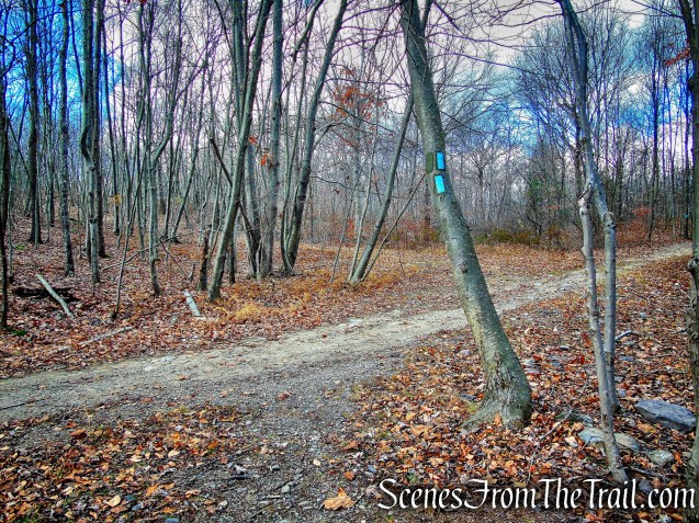 Blue Trail – Cascade Lake Park