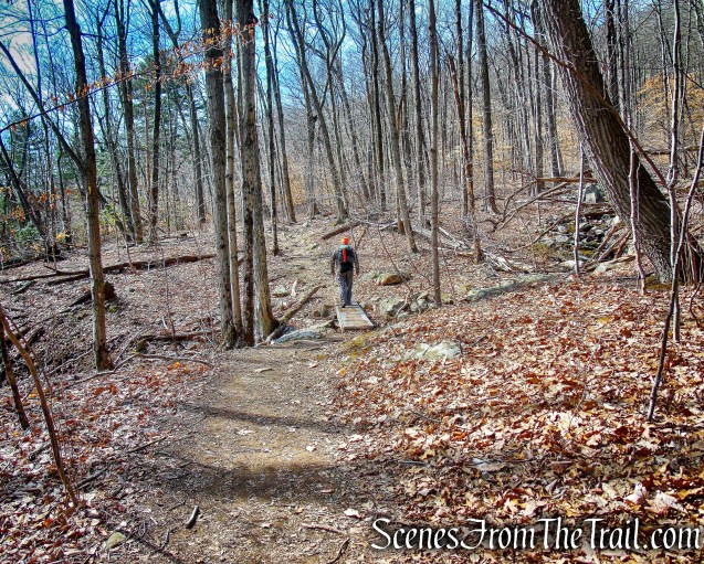 Yellow Trail – Sleeping Giant State Park
