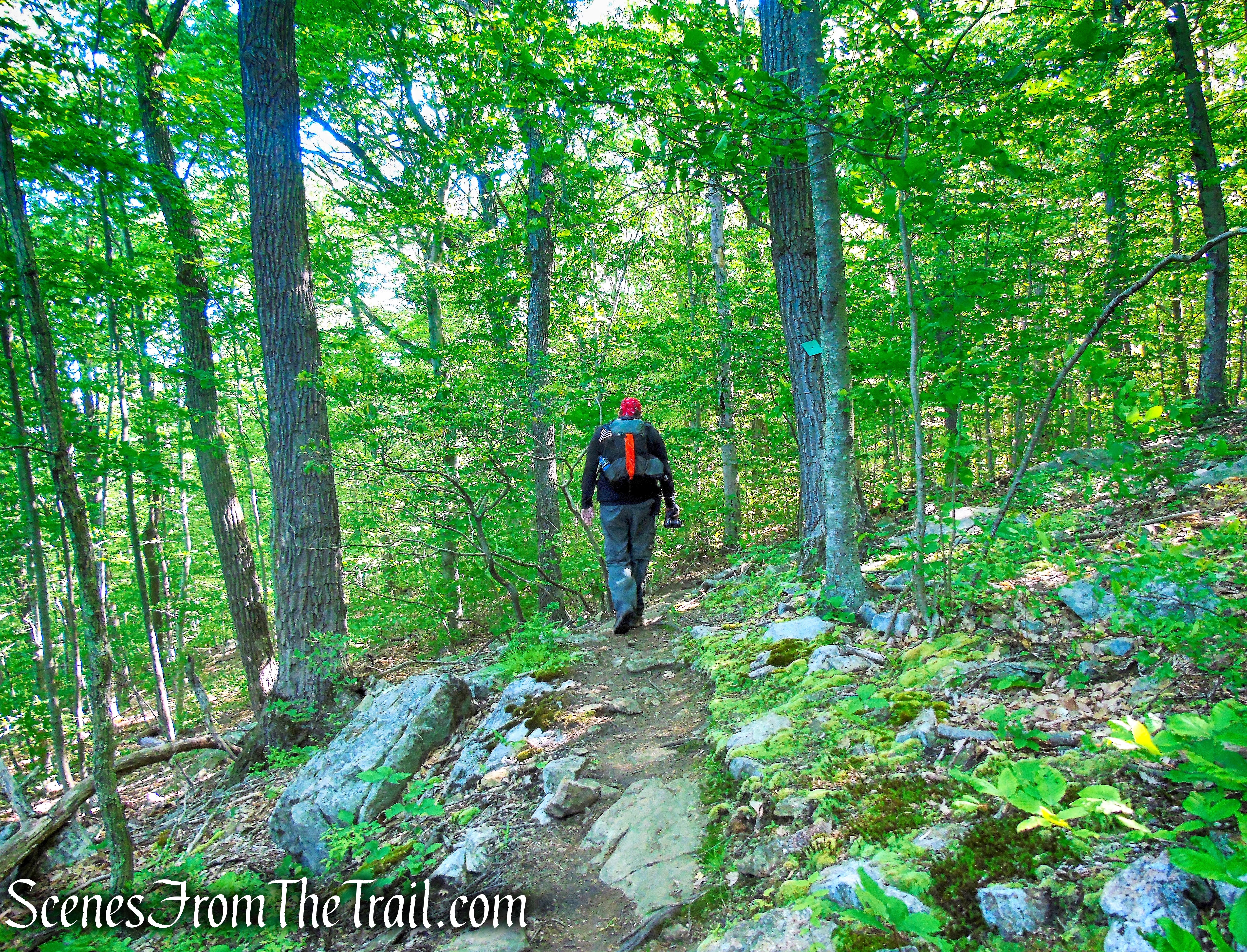 Whippoorwill Park Loop