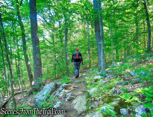 Whippoorwill Park Loop