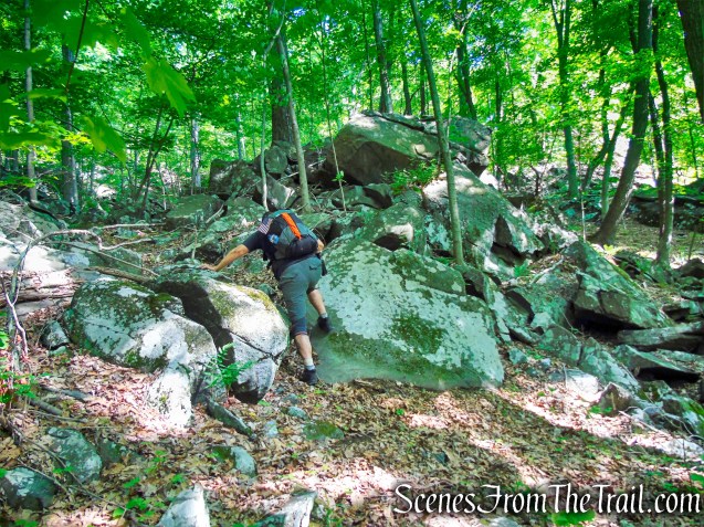 Salt Hill State Forest