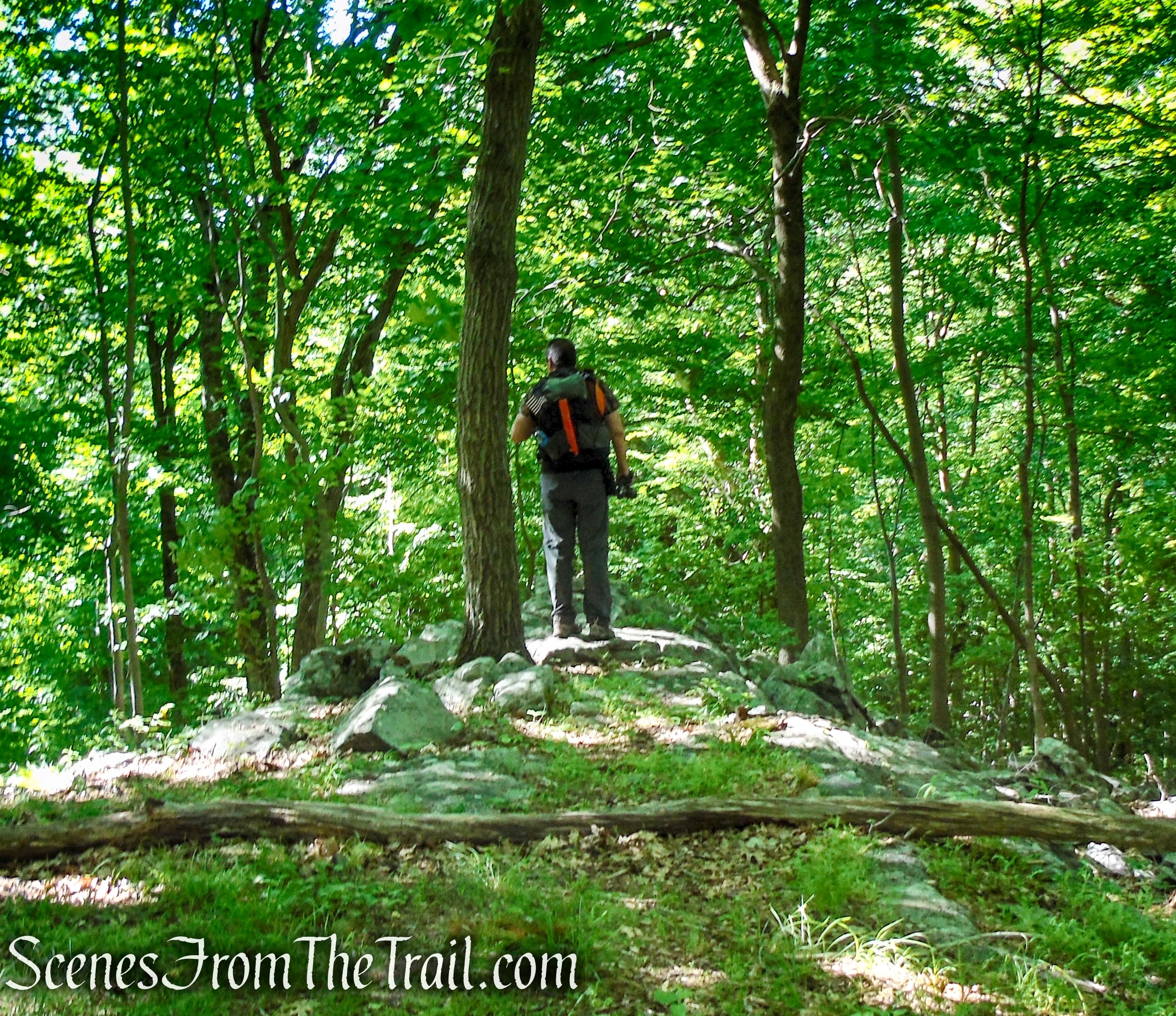 St. Matthew's Church Woodlands