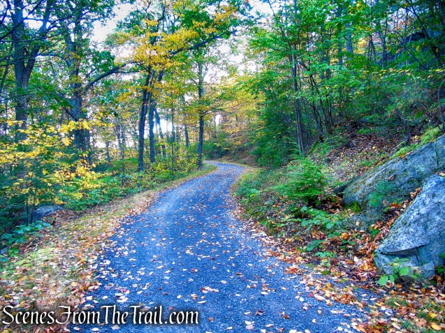Overcliff Road - Mohonk Preserve
