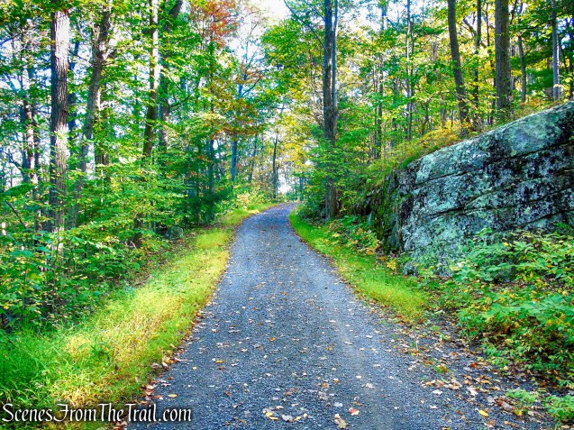 Overcliff Road - Mohonk Preserve