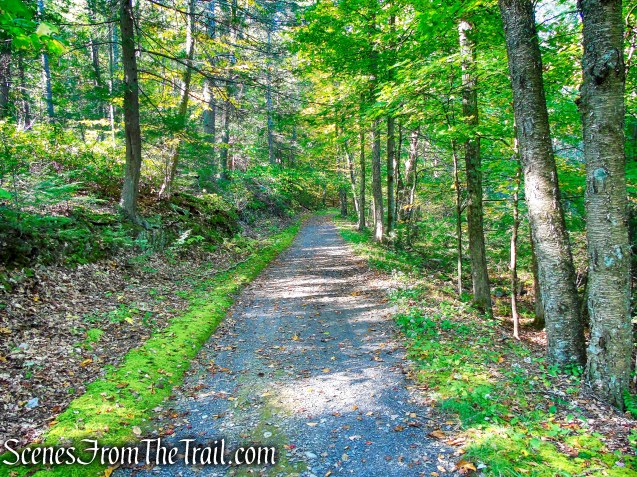 Laurel Ledge Road - Mohonk Preserve