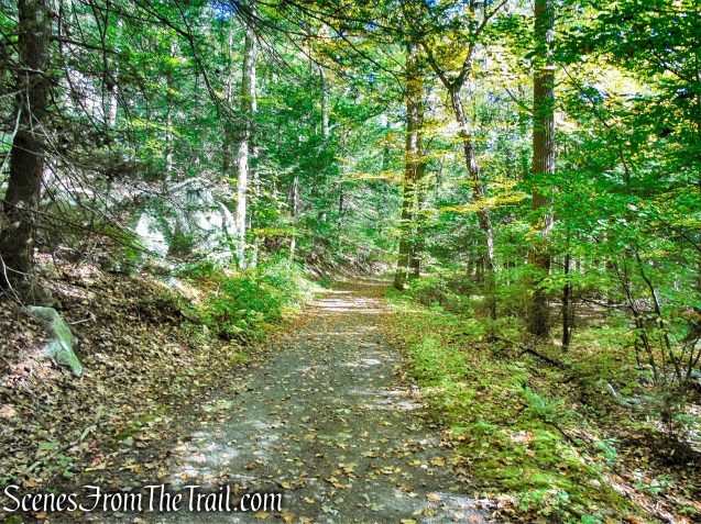 Laurel Ledge Road - Mohonk Preserve