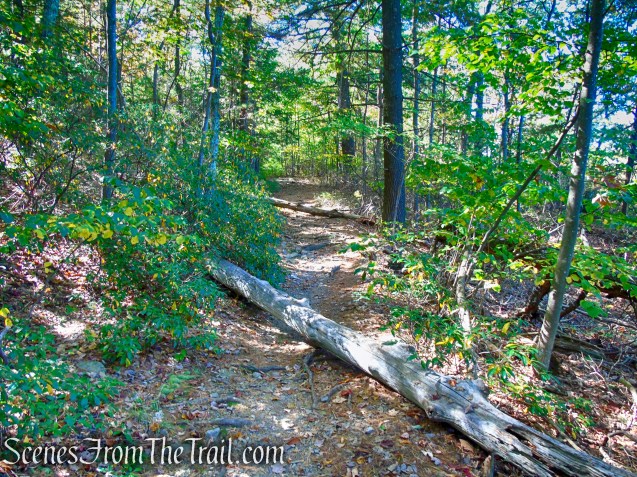 Old Minnewaska Trail - Mohonk Preserve