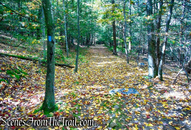 Old Minnewaska Trail - Mohonk Preserve