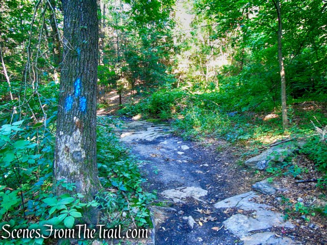 Blue Trail - Little-Laurel Lime Ridge Park