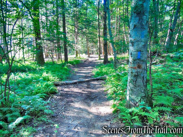 Blue Trail - Little-Laurel Lime Ridge Park