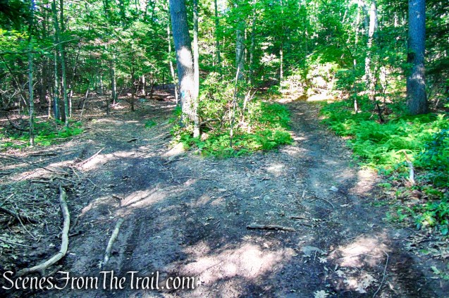 Blue Trail - Little-Laurel Lime Ridge Park