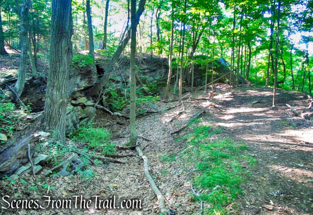 south quarry - Little-Laurel Lime Ridge Park