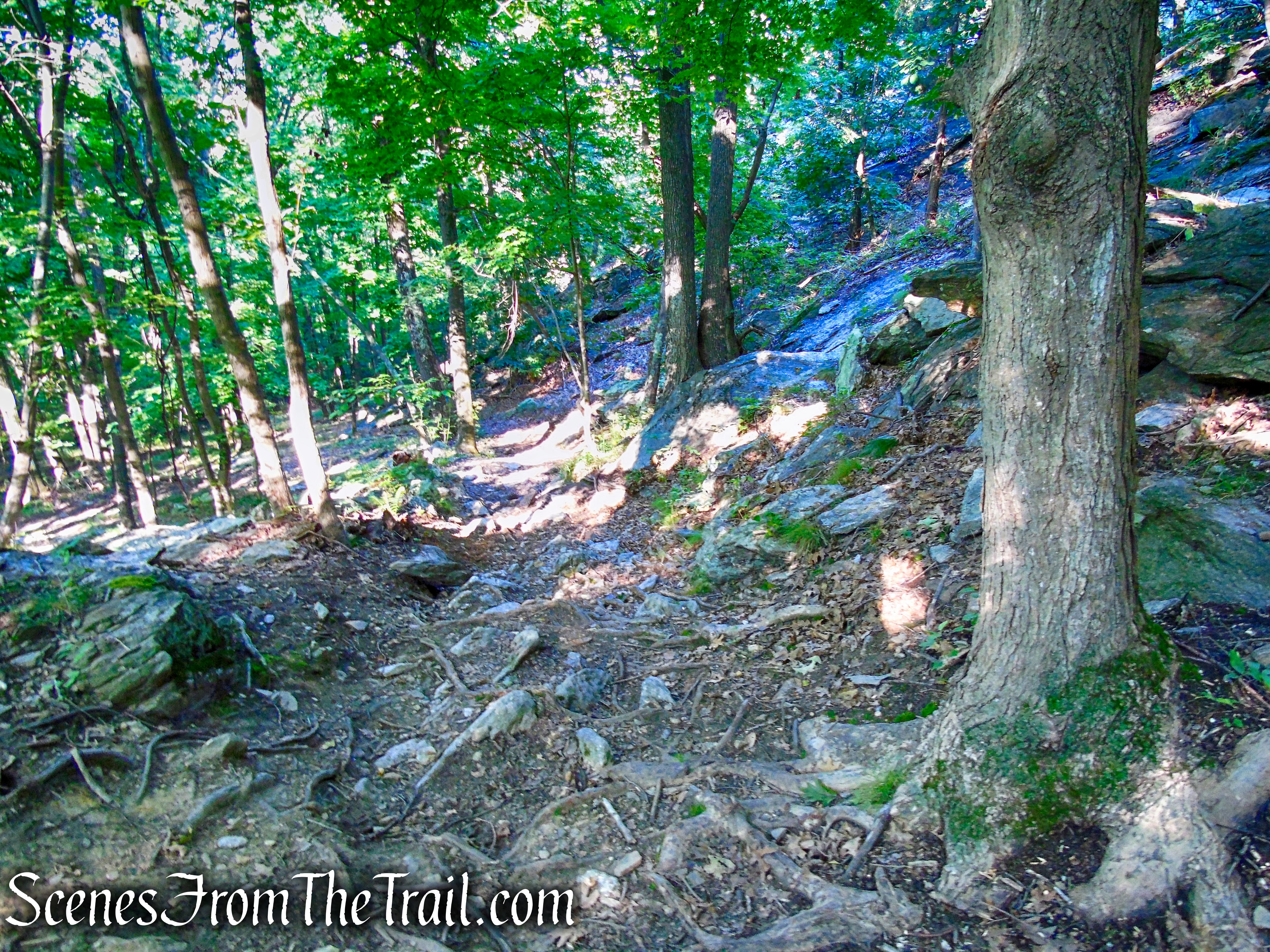 Blue Trail - Little-Laurel Lime Ridge Park