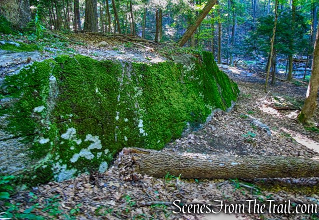 moss covered boulder - Little-Laurel Lime Ridge Park