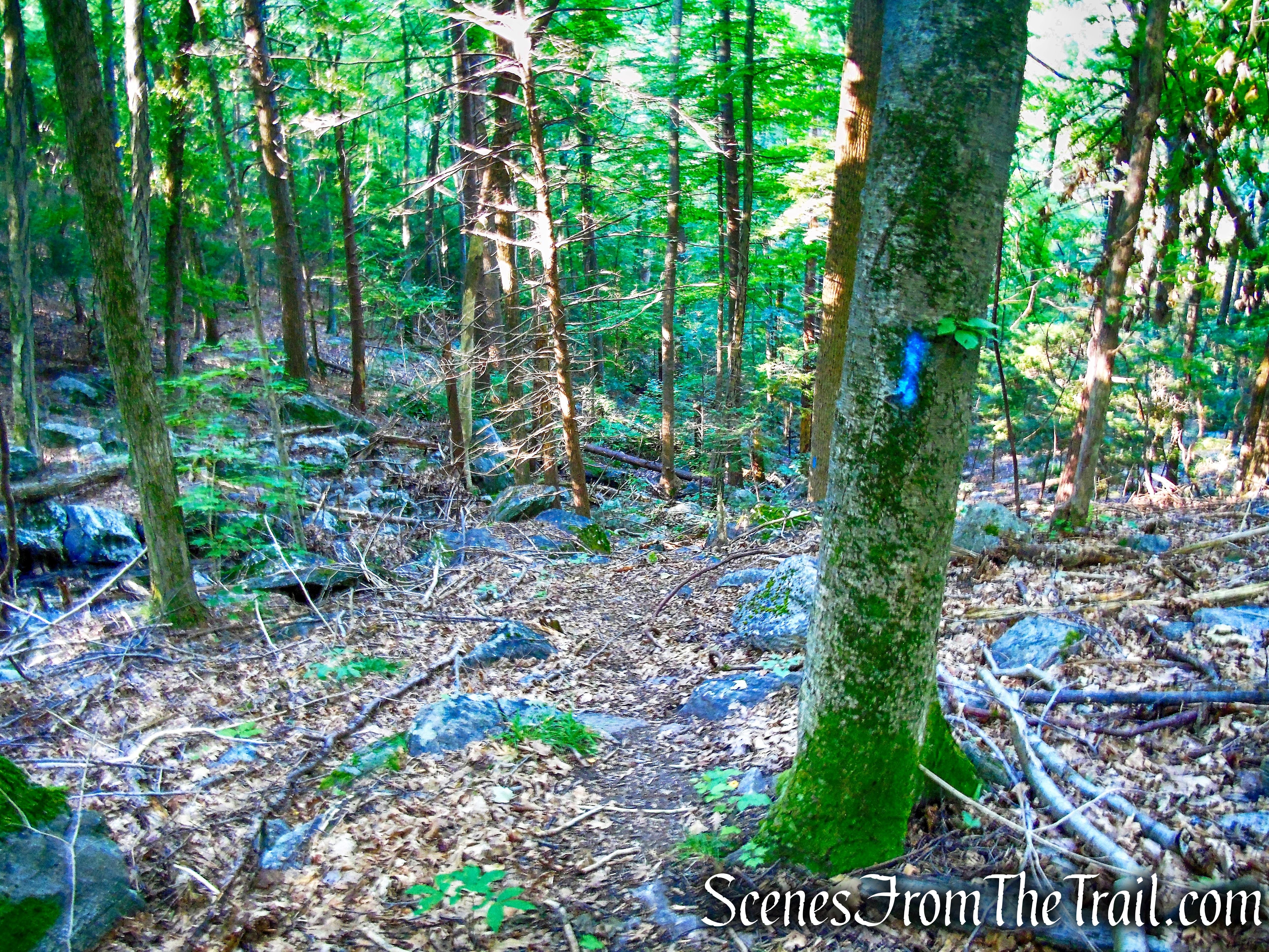 Blue Trail - Little-Laurel Lime Ridge Park